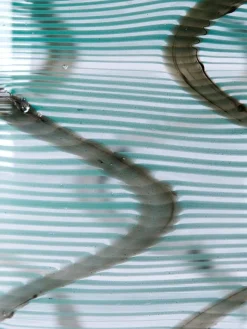 Bicchiere Tavolo Aqua