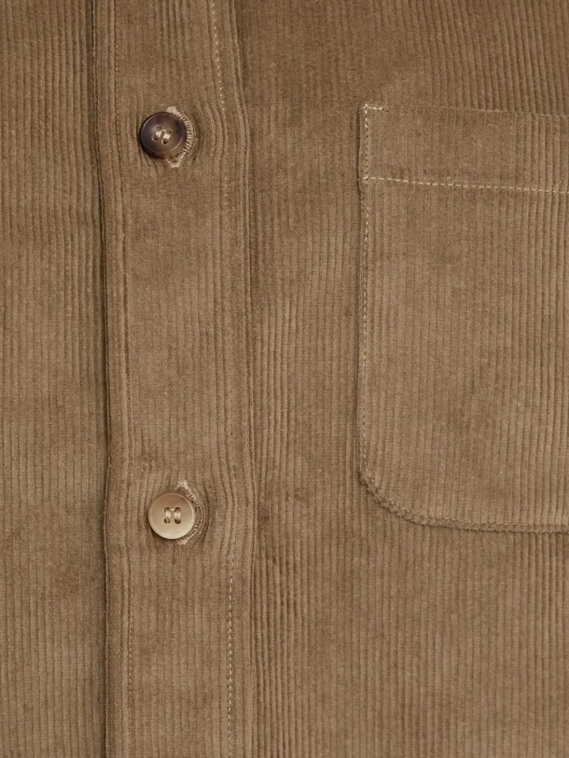 Camicia in cotone a coste Sara