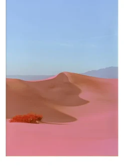 Dunes II