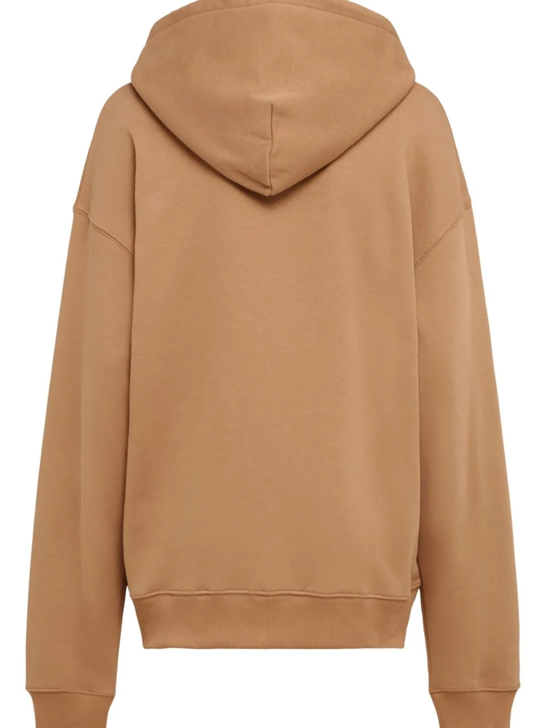 Felpa Standard con cappuccio e zip