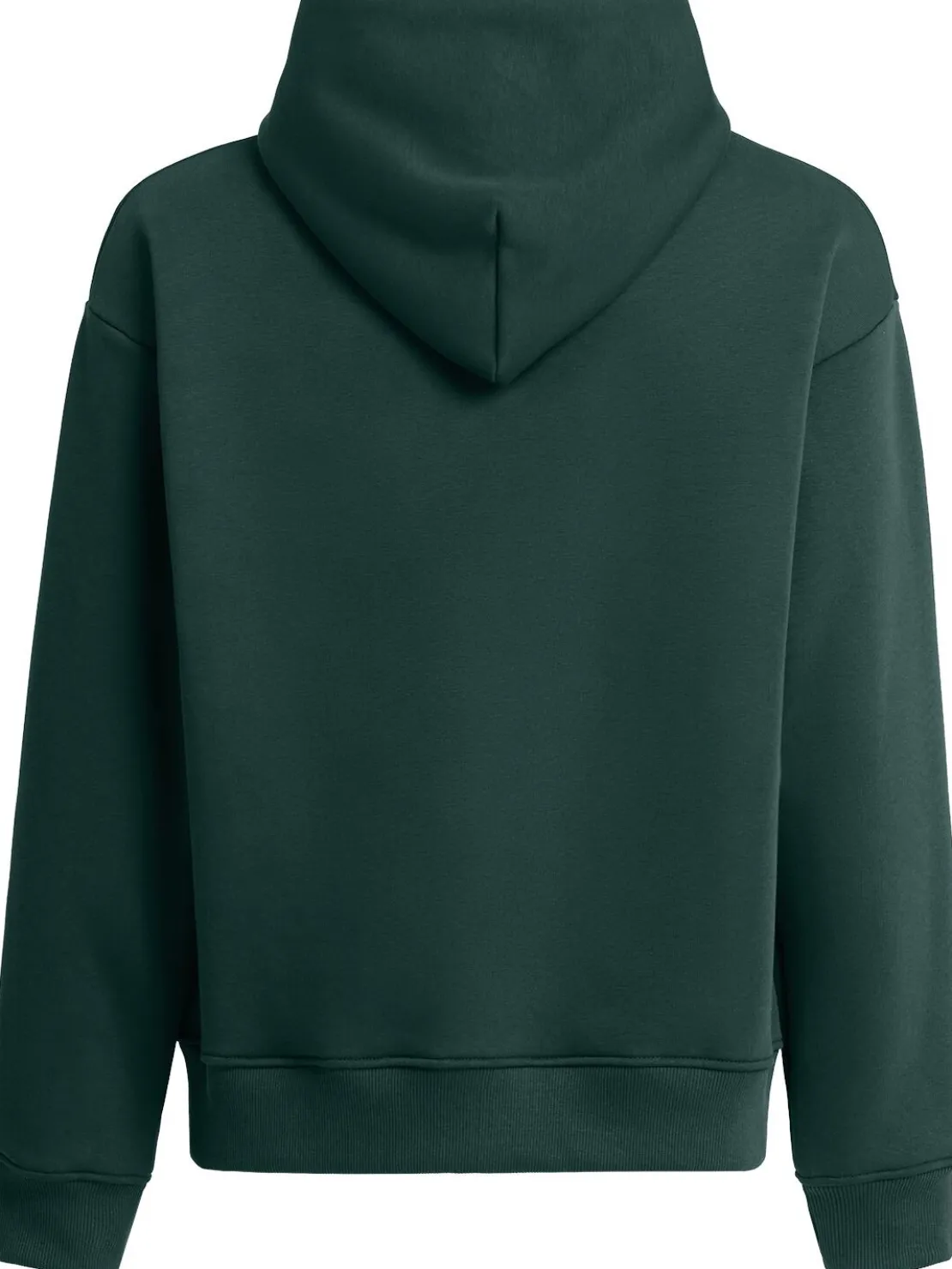 Felpa / zip e cappuccio