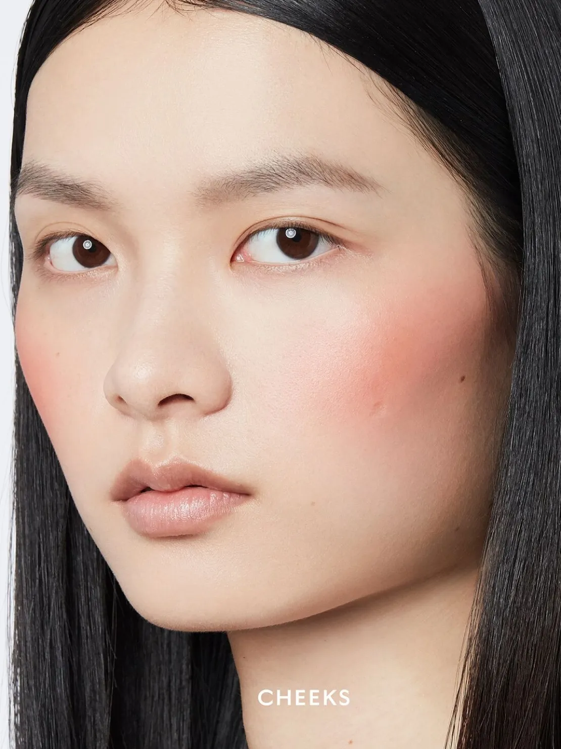 5.5g Blush De Beauté