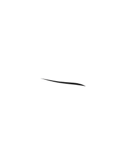 0.5gr Stylo Définition l'Obscur eyeliner