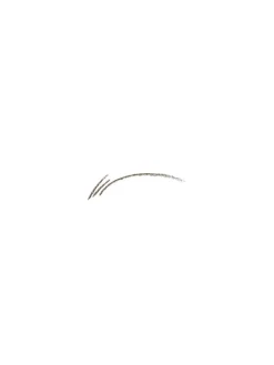 0.09gr Waterproof brow pencil