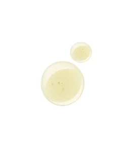 10ml Cassis Perfume Oil