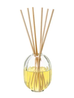 200ml Citronelle home fragrance set
