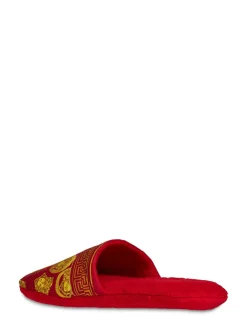 Slipper Medusa Amplified
