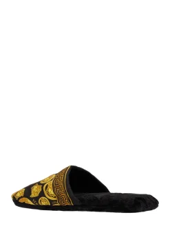 Slipper Medusa Amplified
