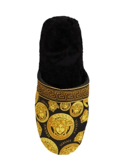 Slipper Medusa Amplified