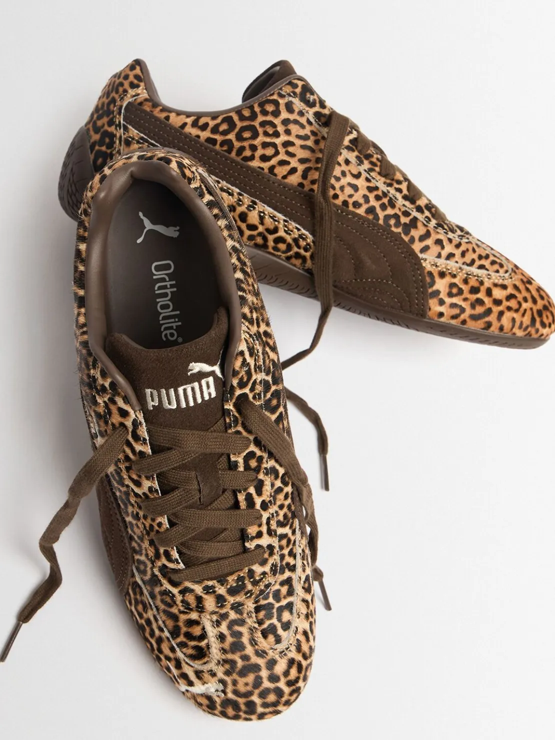 Sneakers Speedcat Leo