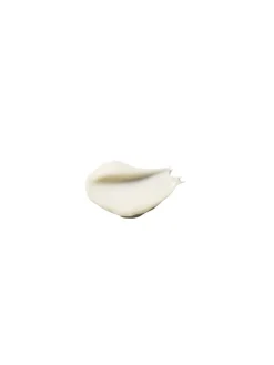 The Absolute Restoring Eye Cream Refill