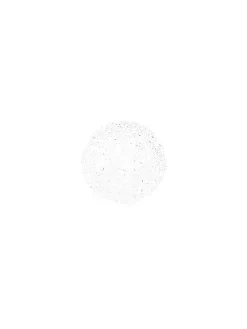 The Face Mist 100ml