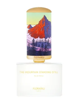 The Mountain Standing Still EDP
