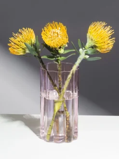 Vaso Wave